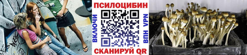 Псилоцибиновые грибы Psilocybine cubensis  Нижневартовск 