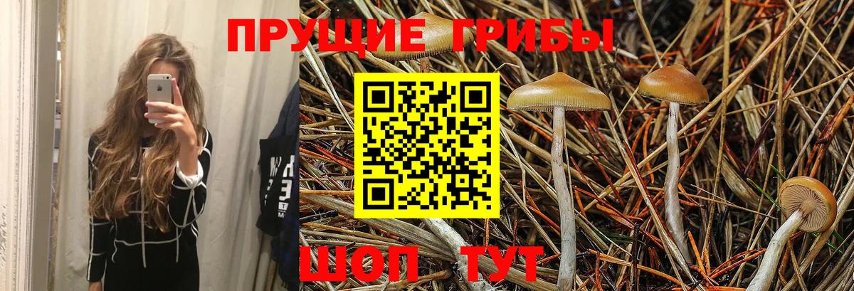 Псилоцибиновые грибы мухоморы Нижневартовск